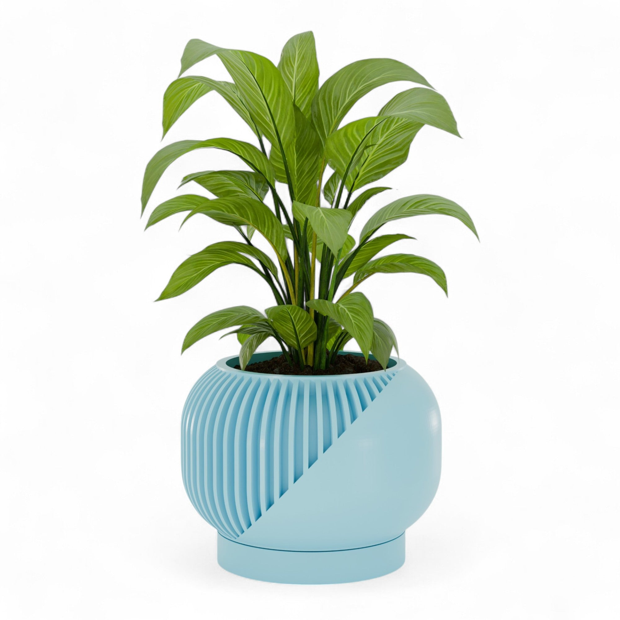 Planters