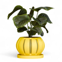 Akino Open Design Minimalist Space Age Planter