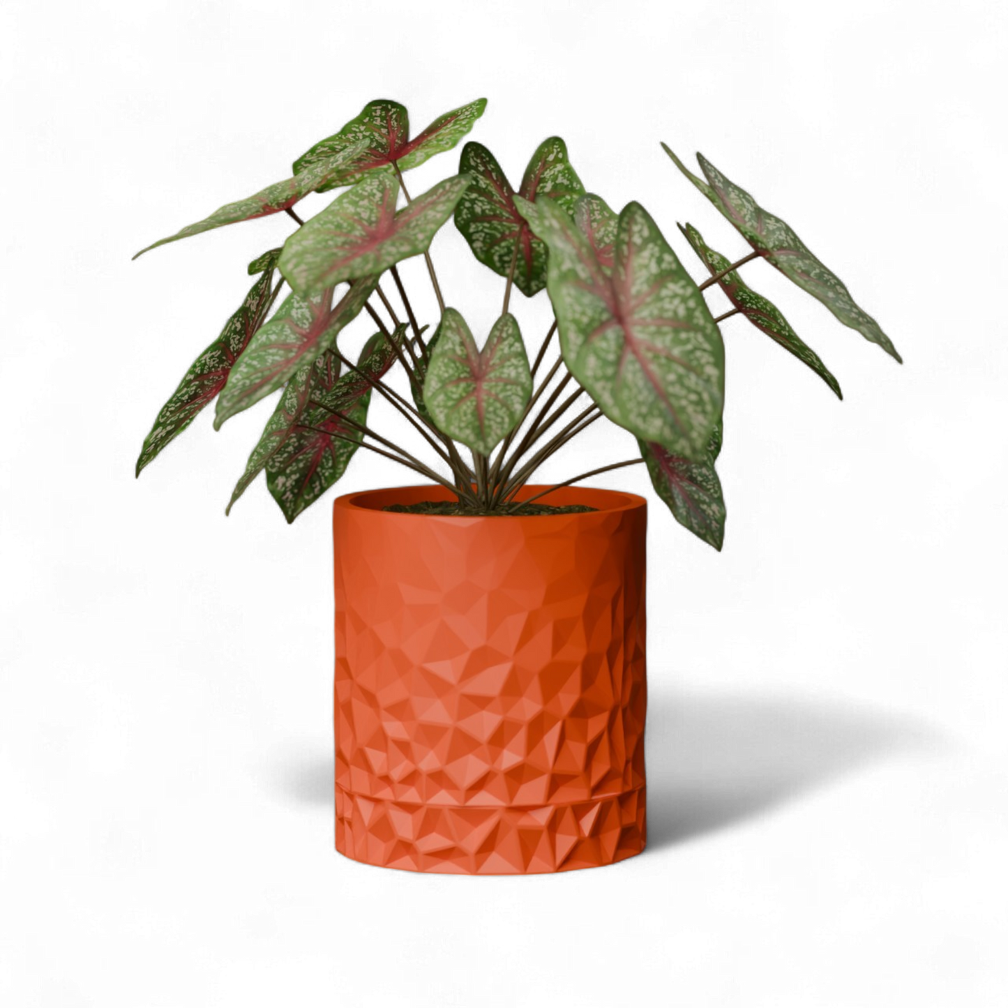 Vexel Space Age Wall Planter