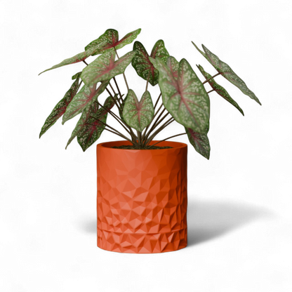 Vexel Space Age Wall Planter