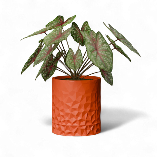 Vexel Space Age Wall Planter