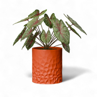 Vexel Space Age Wall Planter