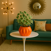 Astrelle Space Age Retro Minimalist Planter