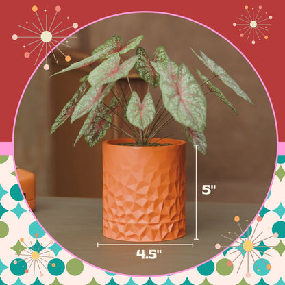 Vexel Space Age Wall Planter