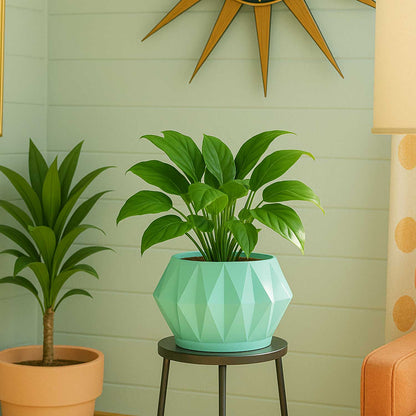 Astrelle Space Age Retro Minimalist Planter