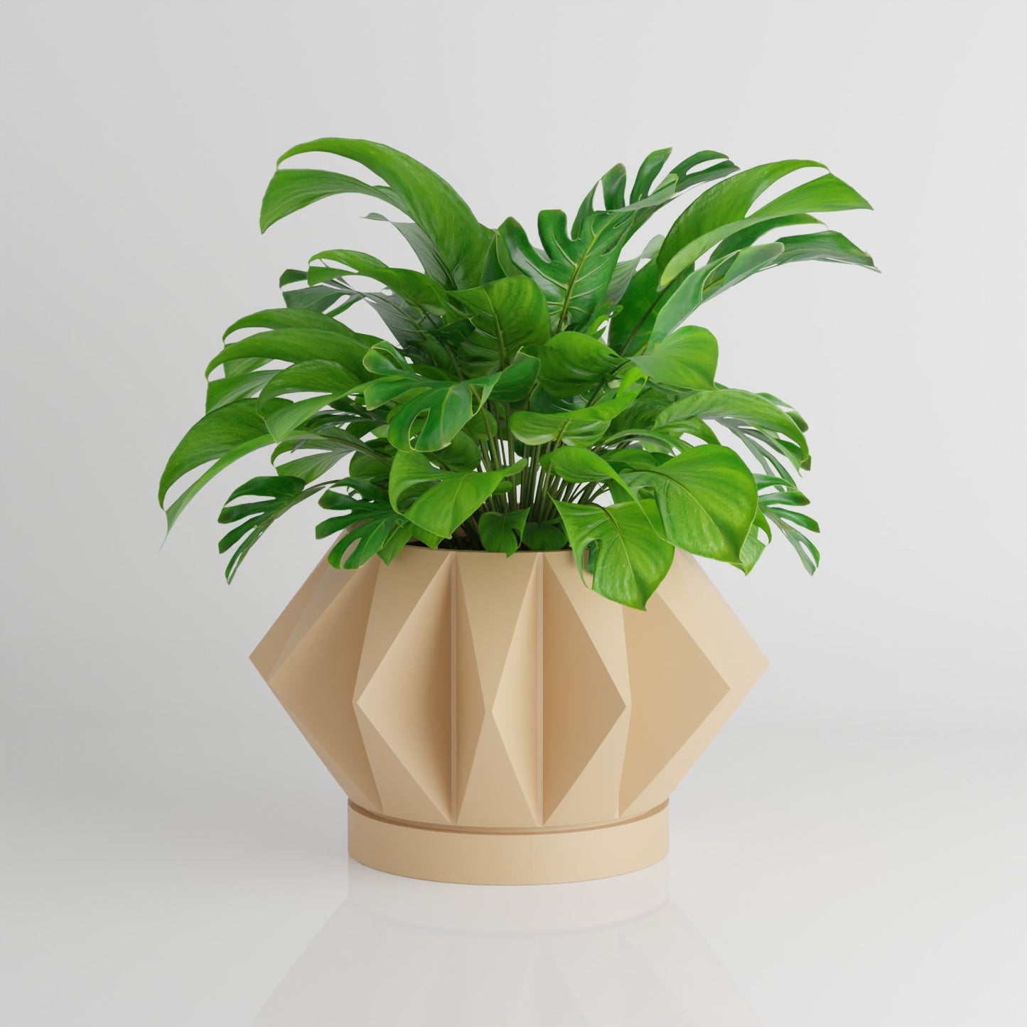 Astrelle Space Age Retro Minimalist Planter