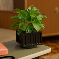 Retro Space Age Lexir Planter