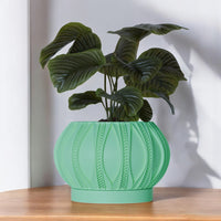 The Mylo Vintage Style Mid Century Planter