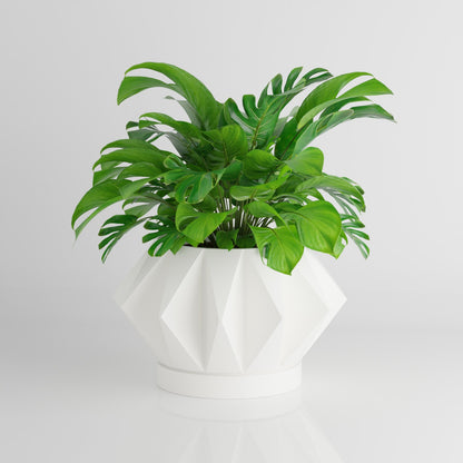 Astrelle Space Age Retro Minimalist Planter