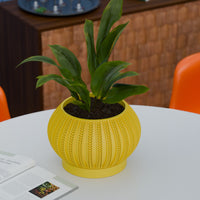 The Zyric Space Age Mid Century Modern Planter