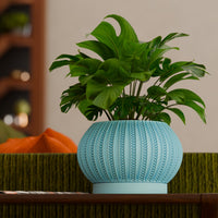 The Zyric Space Age Mid Century Modern Planter